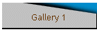 Gallery 1