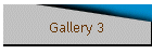 Gallery 3